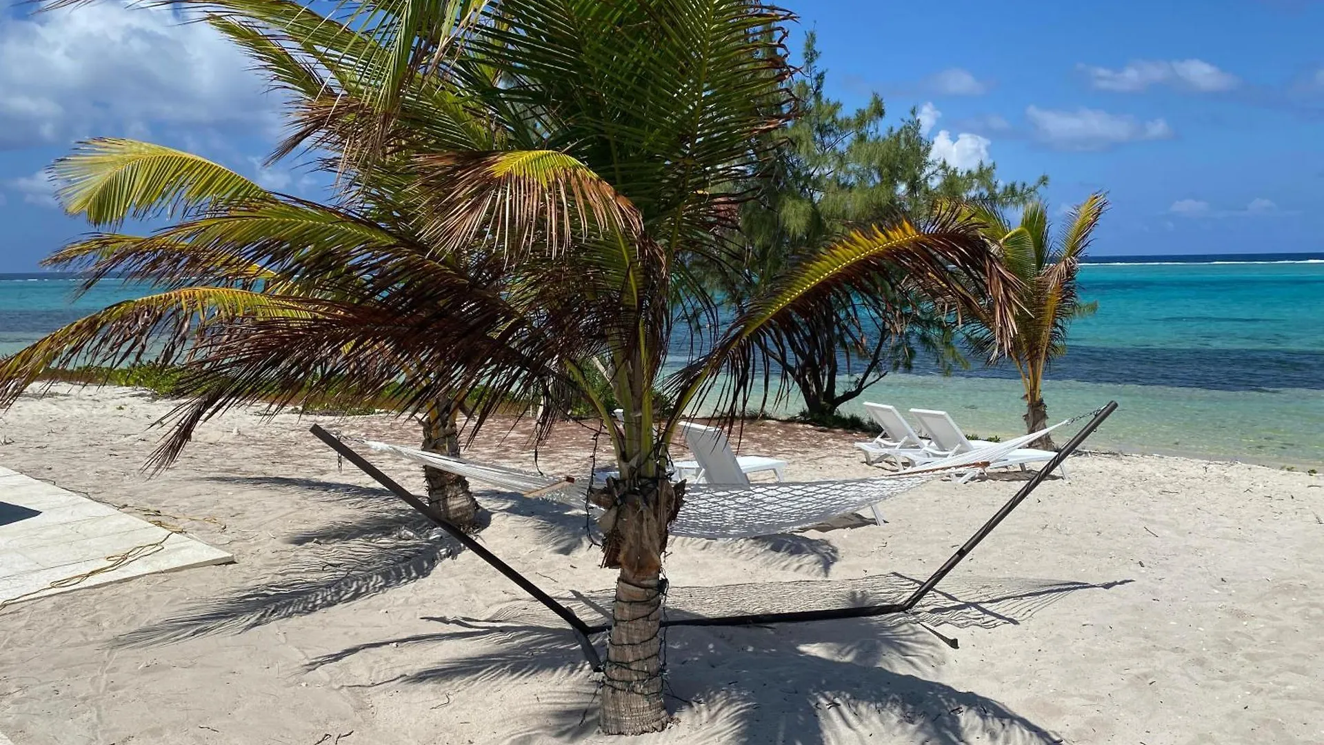 The Banana Bird At Cottages Sand Bluff 0*,  Cayman-øerne